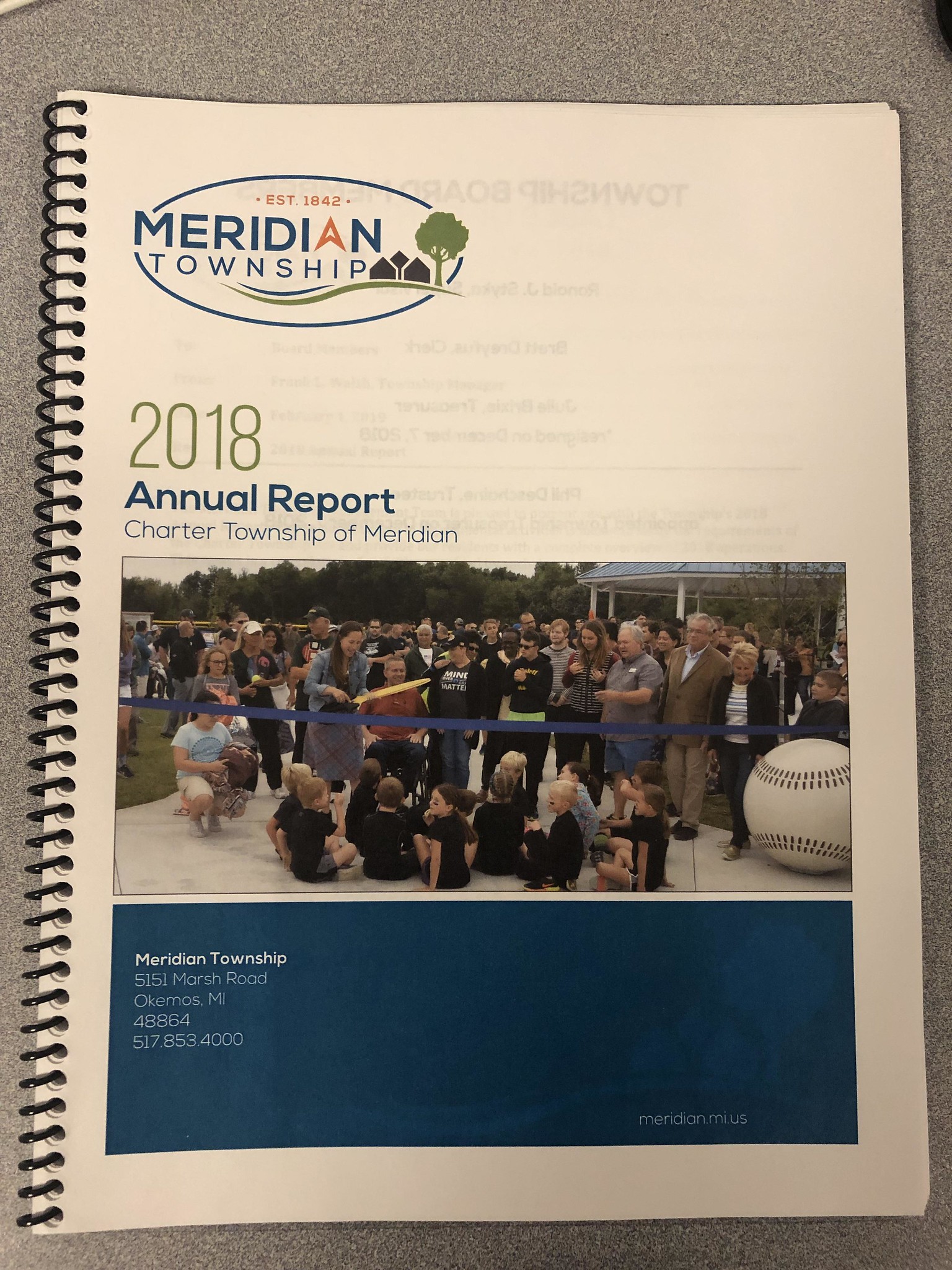 Township Annual Report for 2018 is Public 