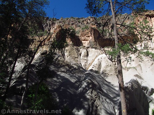 Can you spot the trail/route up the cliff to Alcove House? Bandelier National Monument, New Mexico