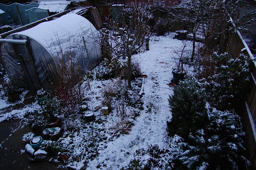 Looking Down on the Back Garden - January 2019