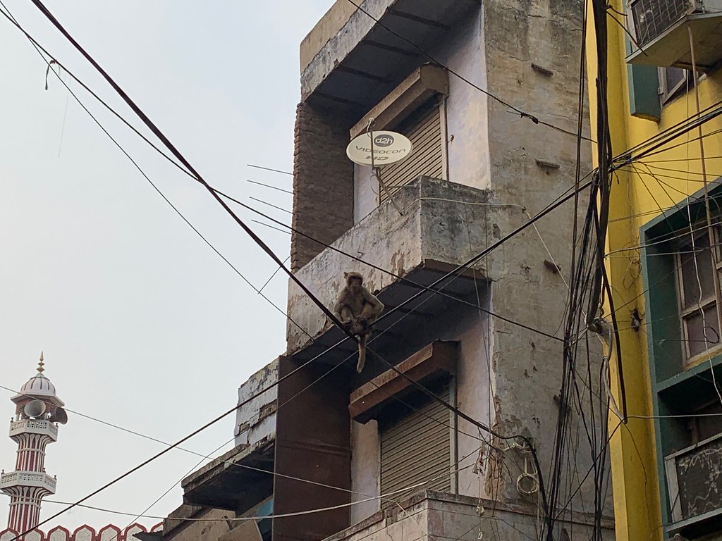 City Life - Cable Art, Old Delhi