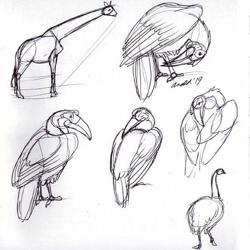 3.15.19 - Animal Kingdom Sketches