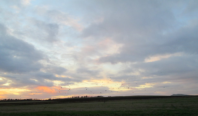sunset , Fife