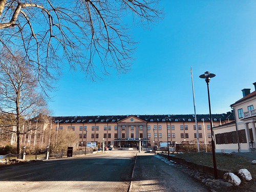 vegan brunch at radisson blu royal park hotel, solna, stockholm, sweden, february 17, 2019 🌱💚 -