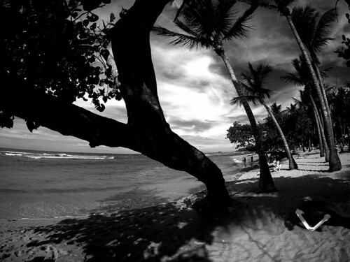 beach ocean silhouette dominicanrepublic palmtrees landscapephotography monochrome bw tropics atlantic noir sky clouds shadows contrast noiretblanc blackwhite blancoynegro blackandwhite bwphotography gopro absoluteblackandwhite mono puertoplata dr waves sea