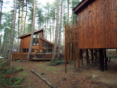 Our Cabins