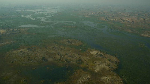Vuelo sobre el Delta del Okavango. Llegamos a Moremi. - POR ZIMBABWE Y BOTSWANA, DE NOVATOS EN EL AFRICA AUSTRAL (8)