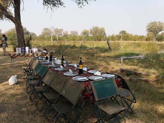 Vuelo sobre el Delta del Okavango. Llegamos a Moremi. - POR ZIMBABWE Y BOTSWANA, DE NOVATOS EN EL AFRICA AUSTRAL (29)