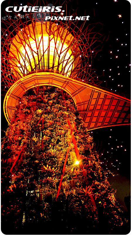 新加坡∥晚上最驚艷燈光秀濱海灣花園(Garden by the Bay)空中走廊(OCBC Skyway)超級樹(SUPERTREE GROVE)無法用言語形容的美 4 46722574314 416645cf28 o