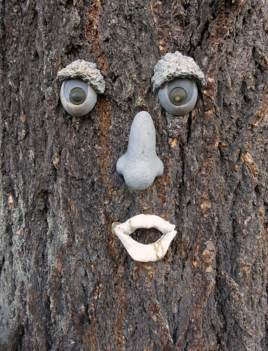 A tree with a surprised face at 17 Mile House, a historic inn (& pub) in Sooke on Vancouver Island, Canada