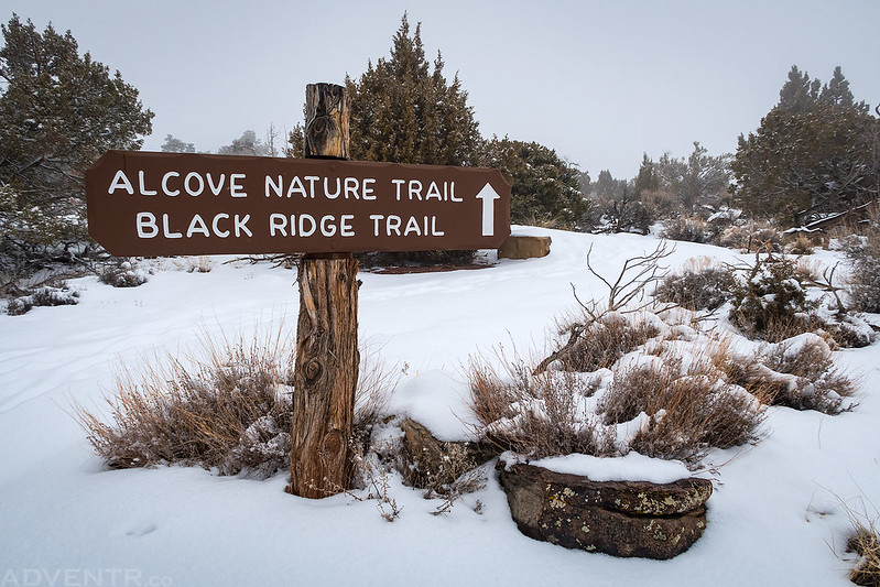 Alcove Nature Trail Sign