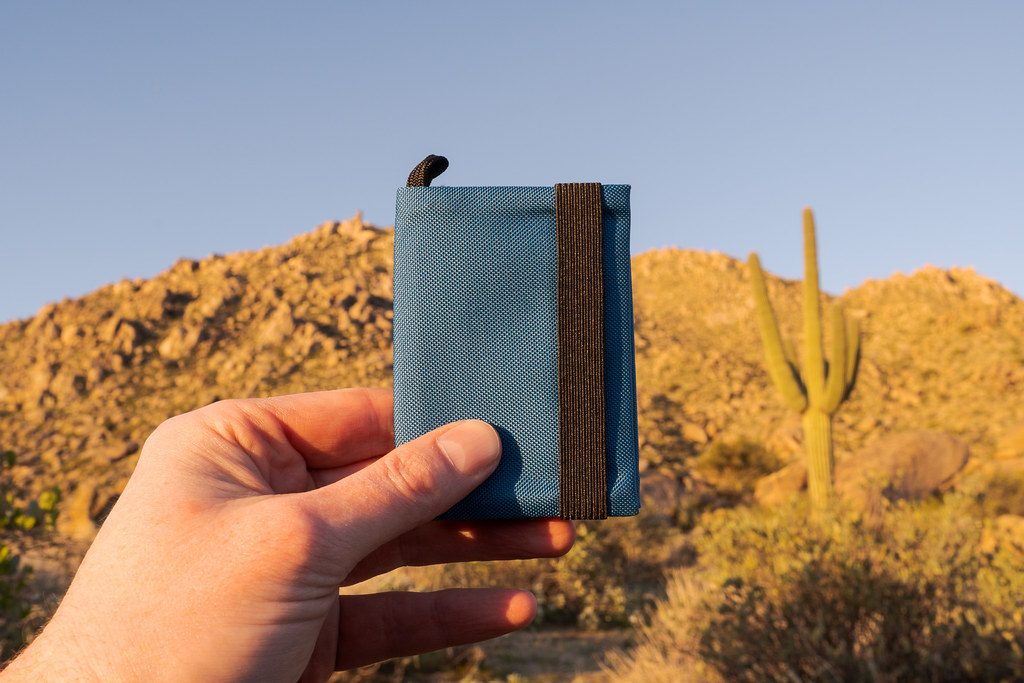 The Tom Bihn Nik's Minimalist Wallet compared to a saguaro