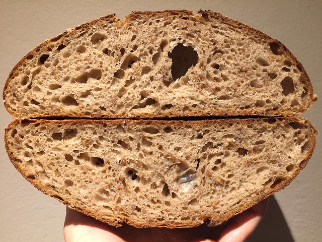 Sprouted Rye / Molasses