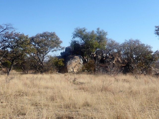 Explorando el Parque Nacional de Matobo - POR ZIMBABWE Y BOTSWANA, DE NOVATOS EN EL AFRICA AUSTRAL (22)