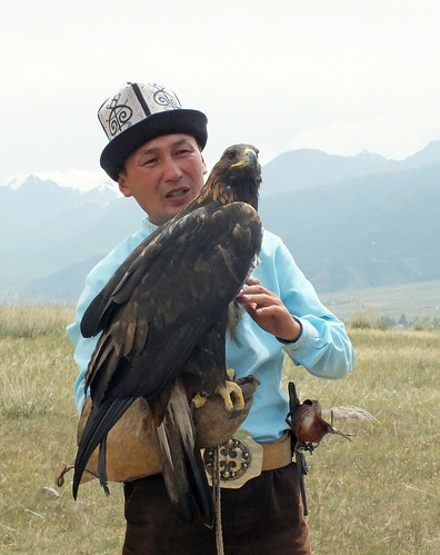 asia kyrgyzstan kochkor eagle hunting landscape dana iwahcow dragoman overland silk road trip august 2018 animal bird