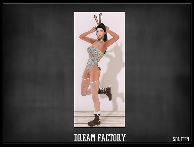 dreamfactory3