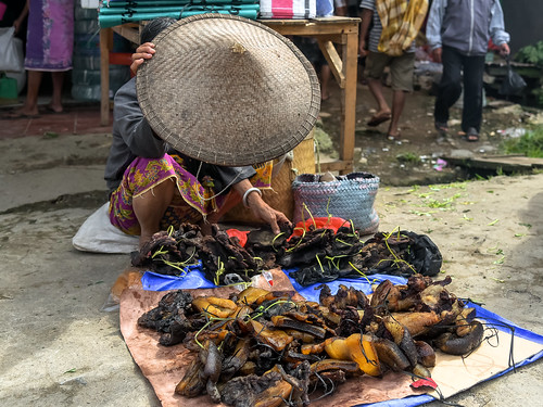 rantepao tanatoraja sulawesi indonesia market asianconicalhat ricehat