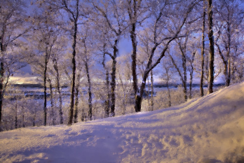 frost sunrise huntsvilleontario snow trees winter sky