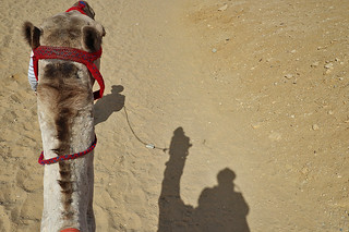 Giza - Camel ride shadow