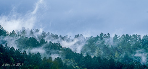fog cloud atmosphere weather upslopefog watervapor ground forest mountain droplets nature risingterrain marvel outdoor