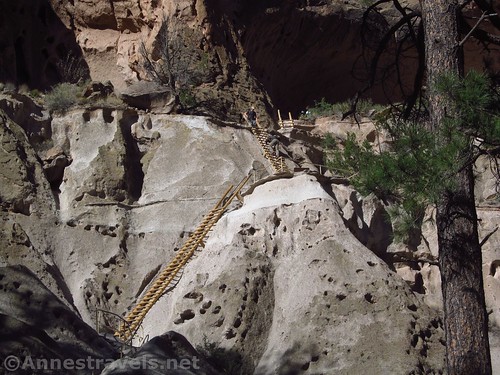 Zoomed in on the route to Alcove House. It looks bad from the canyon floor. Bandelier National Monument, New Mexico
