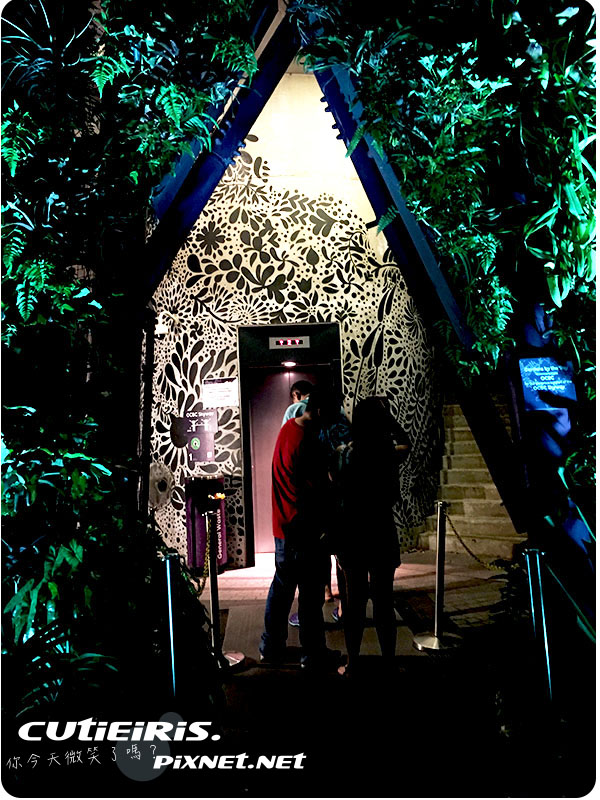 新加坡∥晚上最驚艷燈光秀濱海灣花園(Garden by the Bay)空中走廊(OCBC Skyway)超級樹(SUPERTREE GROVE)無法用言語形容的美 12 40479835593 15dbb0c4a4 o