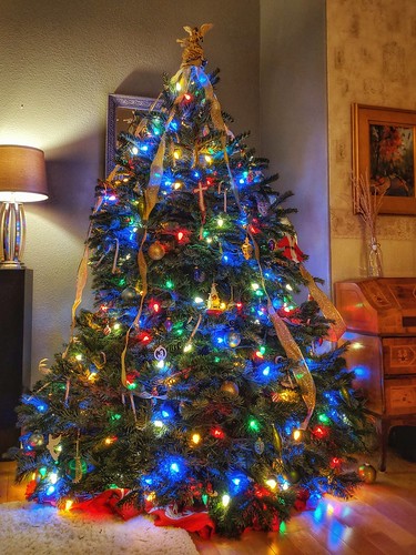 feliznavidad oregonchristmas oaklandtreefarm merrychristmas happyholidays christmastime christmastree nordmannfir