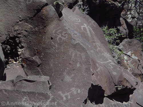 A rock covered with petroglyphs at the Nampaweap Rock Art Site in Grand Canyon-Parashant National Monument, Arizona