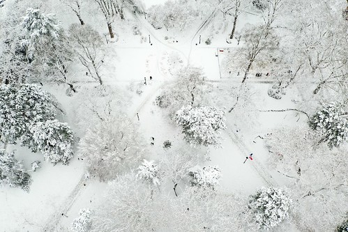 snow dennypark seattle downtown lakeunion spaceneedle winter drone uav aerial aerialphotography