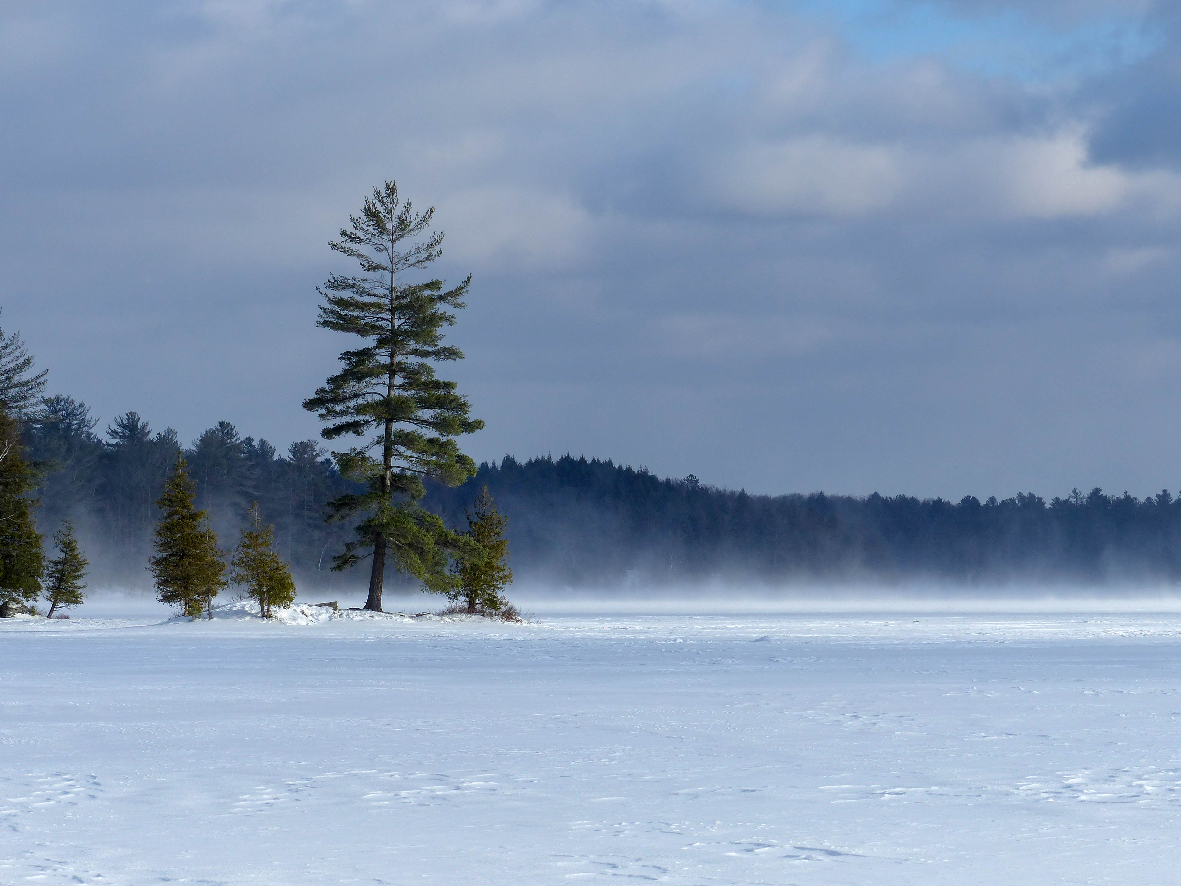 Silent Lake Provincial Park - frozen lake and wind blowing the snow