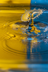 splash blue & yellow 2 - An exhibition of work from Willie Wilson