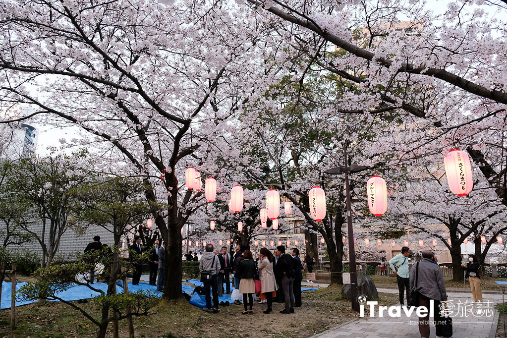 Fukuoka Cherry Blossom Spots Fukuoka Tenjin Cherry Blossom Festival (44)