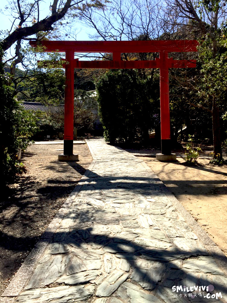 和歌山加太∥和歌山淡嶋神社(Awashima Shrine)︱滿滿人偶︱專屬女性神社 17 32304087907 ca9c033ec3 o