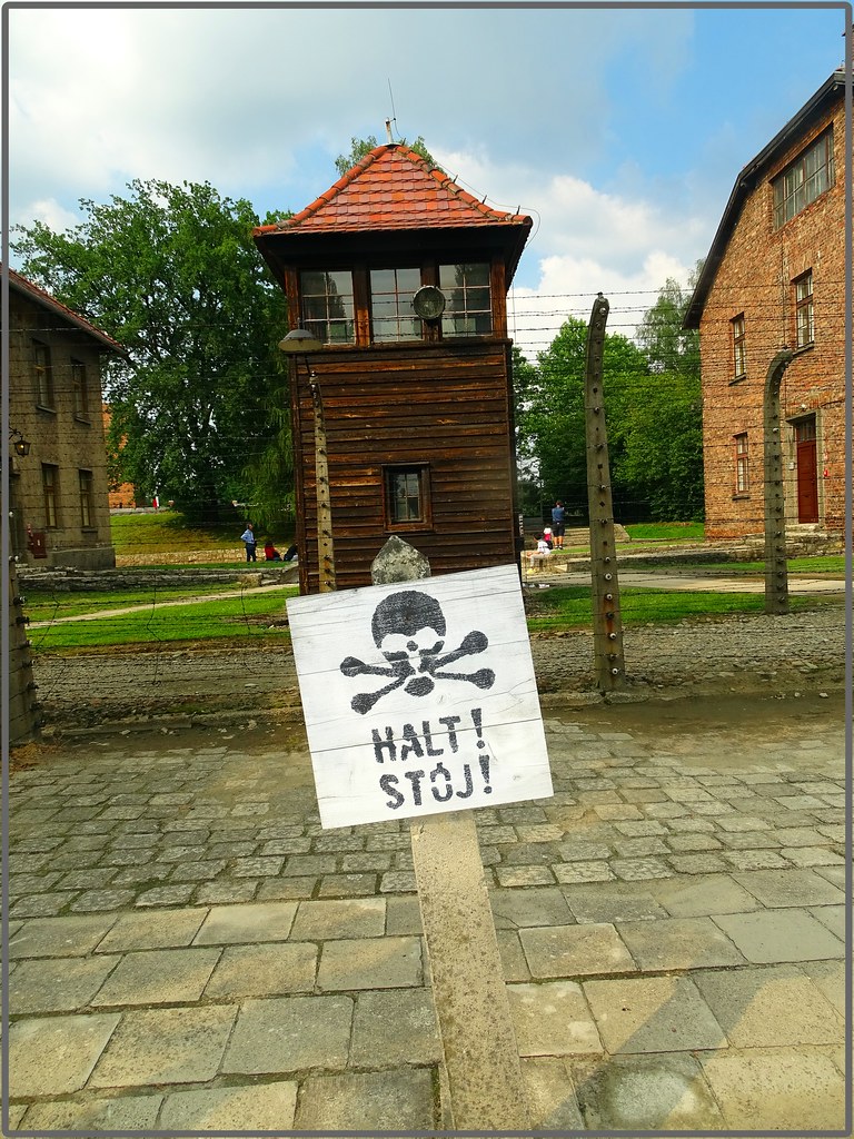 7 días en Polonia: Cracovia-Auschwitz-Tatras y Zakopane-Minas de Sal-Río Dunajec - Blogs de Polonia - Colina y Castillo de Wawel-Campo de concentración de Auschwitz (10)