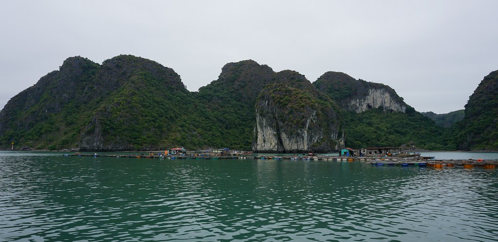 Navegando por Lan Ha y Halong, la bahía de los gigantes de piedra - VIETNAM, TIERRA DE DRAGONES (4)