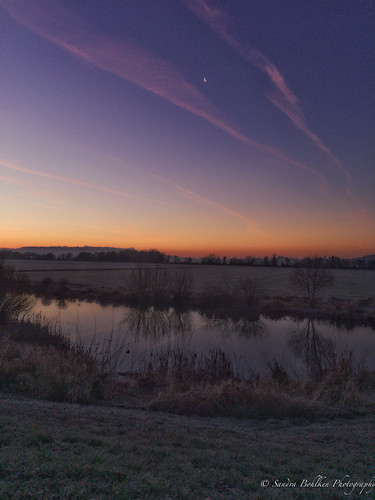 bluehour dawn pond myneighborhood forestgrove field reflections