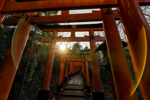 sunrise rising sun fushimiinaritaisha taisha fushimi inari torii toriigate sunburst starburst japan outdoor landscape landscapephotography a7m2 sonyalpha sony kyoto picoftheday photooftheday