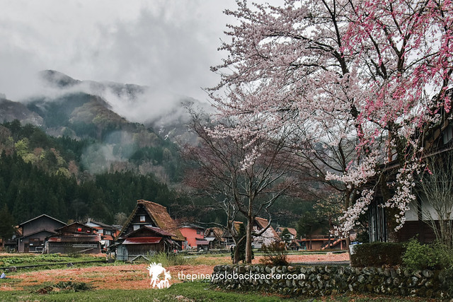 shirakawa-go itinerary