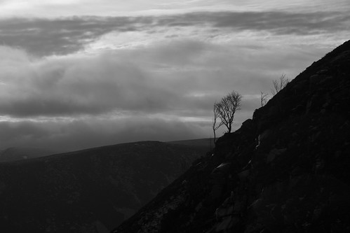 aberdeenshire scotland scottishhighlands highlands blackandwhite bw monochrome mountain hills cloud glen topic landscape tree silhouette