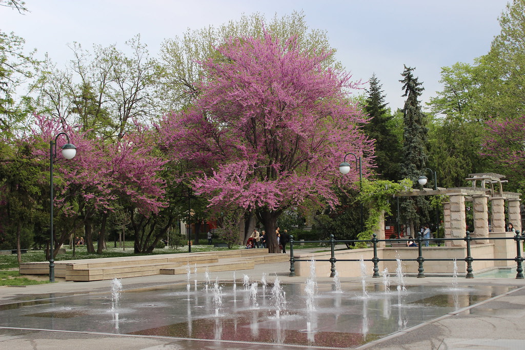 Plovdiv Parque Zar Simeon 12