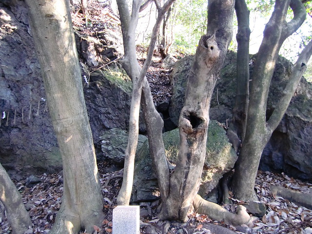 岩屋神社の陰陽岩