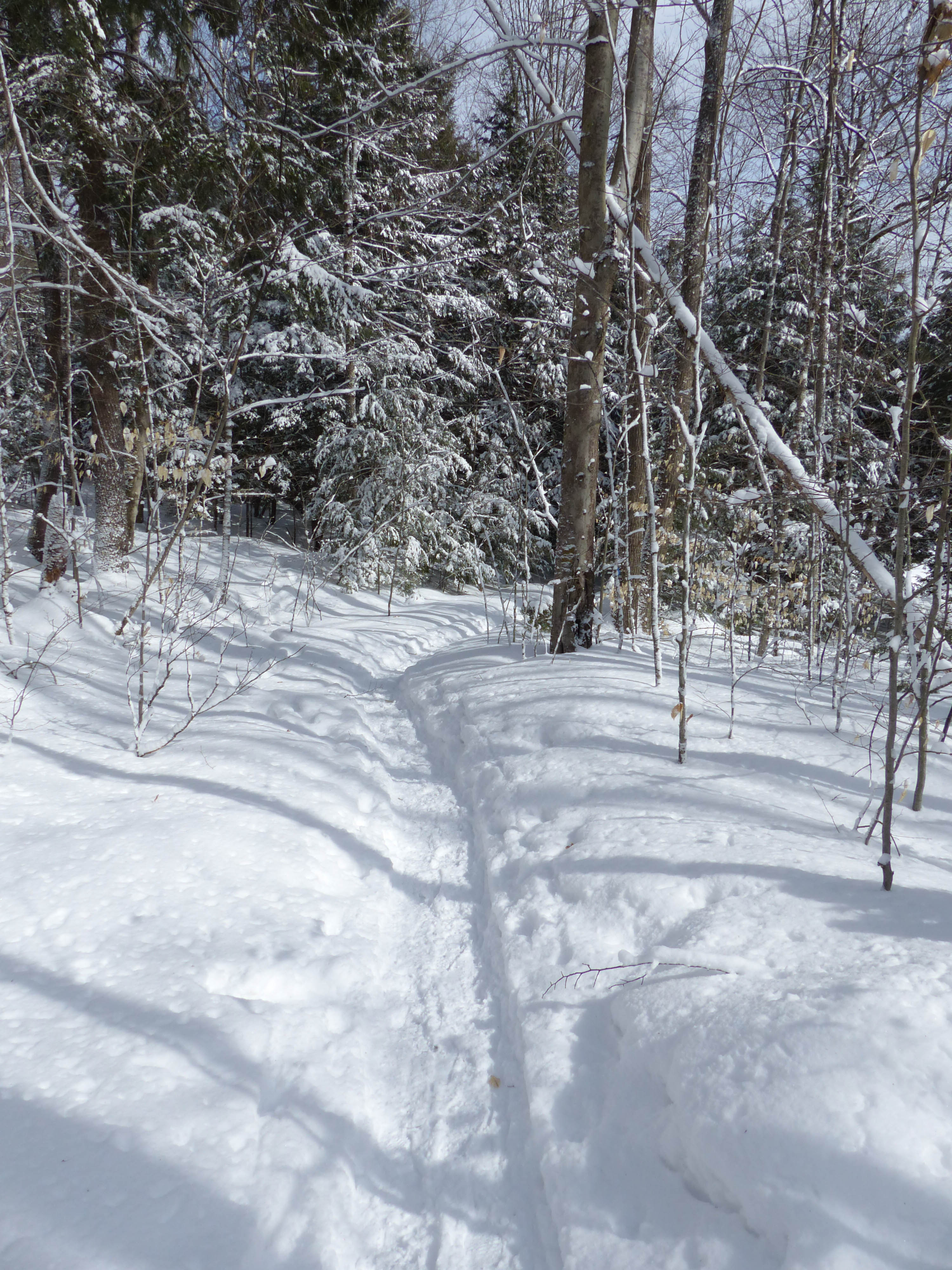 Silent Lake Provincial Park snowshoeing through forest