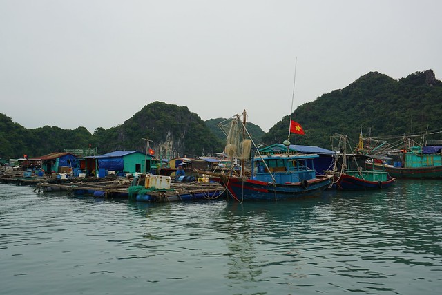 Navegando por Lan Ha y Halong, la bahía de los gigantes de piedra - VIETNAM, TIERRA DE DRAGONES (6)