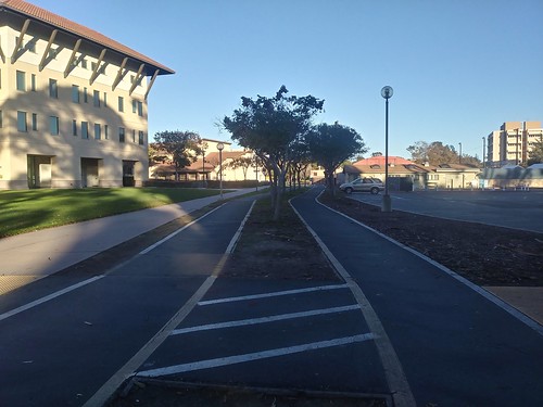 In-campus cycletrack at the University of California, Santa Barbara