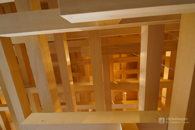 Structures of the roof, COEDA HOUSE (コエダハウス)