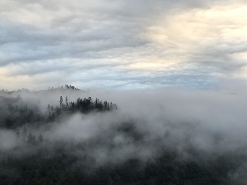 morningrun asra auburnstaterecreationarea trailrun americanrivercanyon fog sunrise runningwithfriends