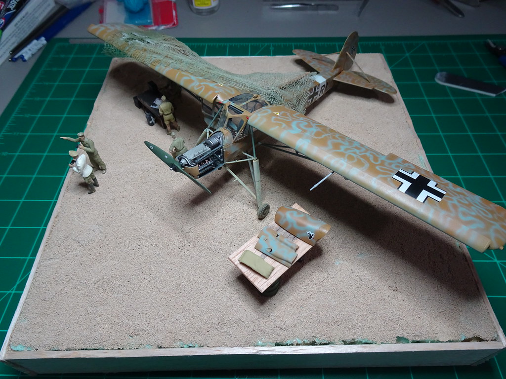 Storch 48