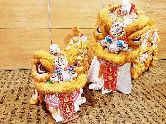 Lion Dance Costumes