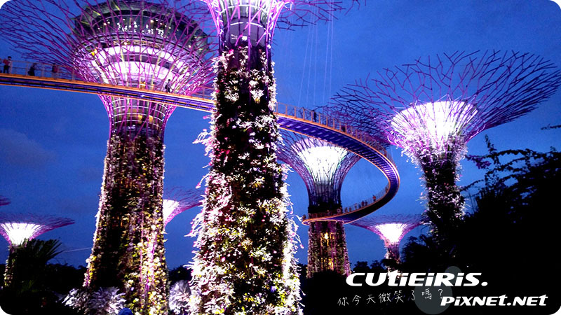 新加坡∥晚上最驚艷燈光秀濱海灣花園(Garden by the Bay)空中走廊(OCBC Skyway)超級樹(SUPERTREE GROVE)無法用言語形容的美