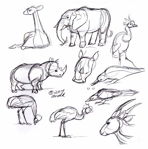 3.15.19 - Animal Kingdom Sketches