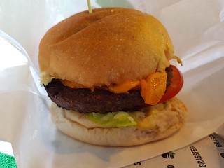 Classic Burger at Grass Fed